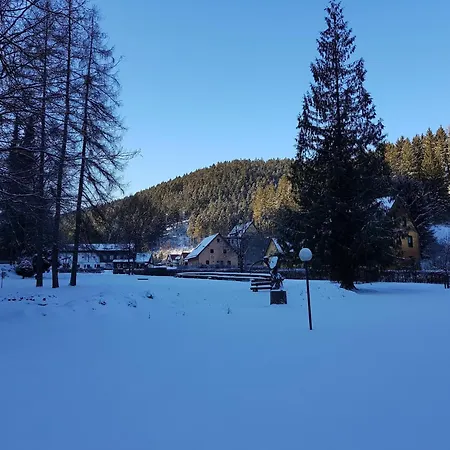 Daire Adorable Aparment In With Parking Wildemann